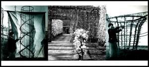 La taille de nos fruitiers, un casse-tête?