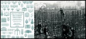 La taille de nos fruitiers, un casse-tête?