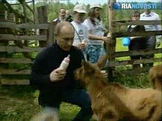 Entre élan modéré et islam radical,ci-gîtVladimir Poutine... Entre élan modéré et islam radical,ci-gîtVladimir Poutine...