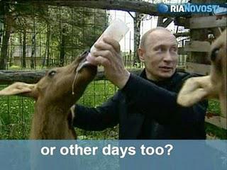 Entre élan modéré et islam radical,ci-gîtVladimir Poutine...