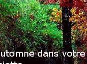 Concours chez Cesostad "L"automne dans votre assiette"