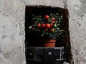 Exposition Rekult Vol.