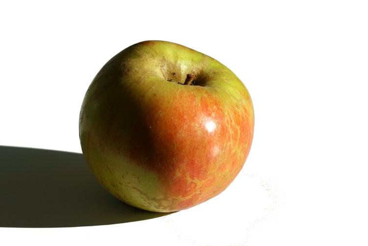 Pomme Rambourg apple