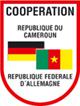 Offensive : Les Allemands à la reconquête du Cameroun
