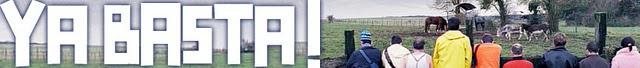 ya basta