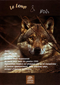 le-loup---nous.png