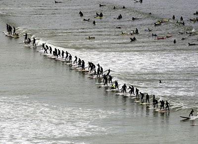 Des surfers tentent de battre le record du plus grand nom...
