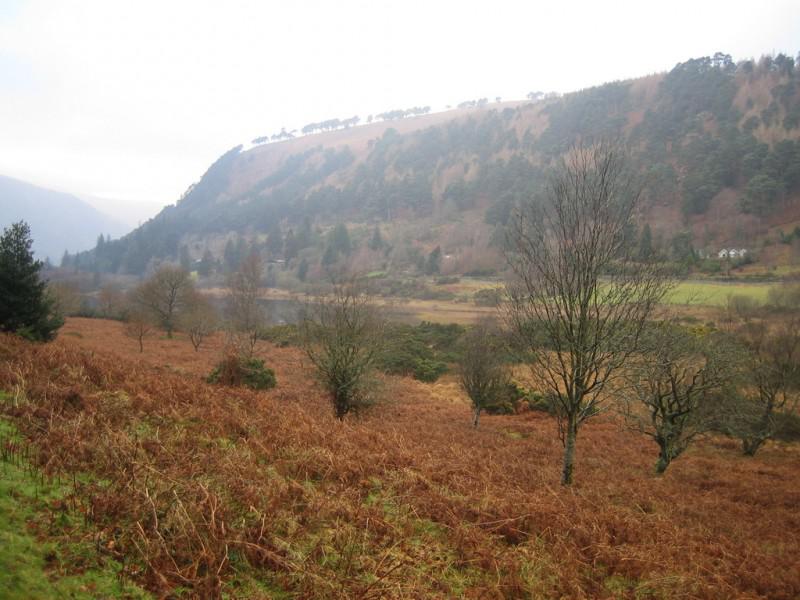 Les longs jours les jours bas (Armand Lanoux)