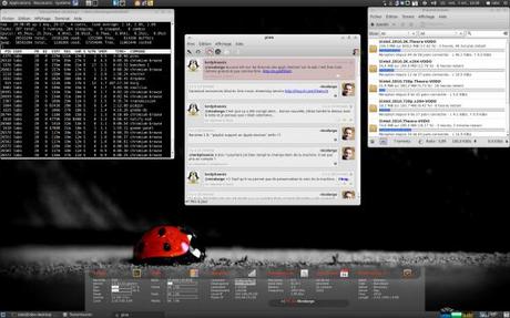 Mon desktop 201010