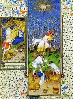 Vendanger avec un panier percé.