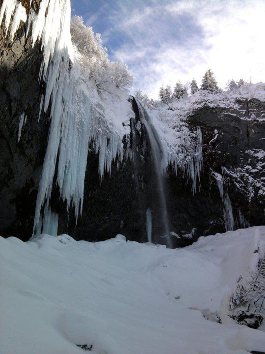 PR, polyarthrite, polyarthrite rhumatoïde