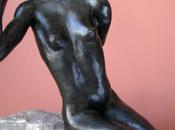 chaque oiseau beau (Armand Lanoux)