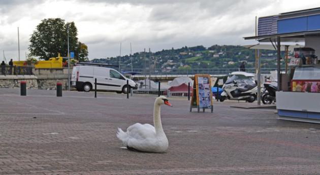 Sans titrede-ssssss.jpg