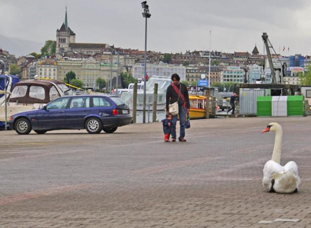 Sans titre-1-ssssss 14-37-04.jpg