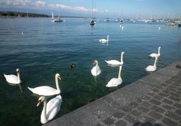 Sans titre-ssssss.jpg