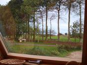 Nouvelles fenêtres, nouvelle