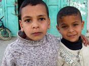 Palestine vérité chiffres