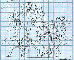 Les Iris-noir et blanc