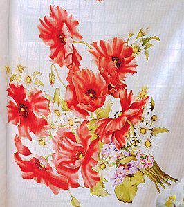 Les coquelicots-couleur