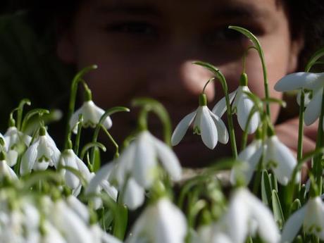 L’envie vite et fort de hurler (Werner Lambersy)