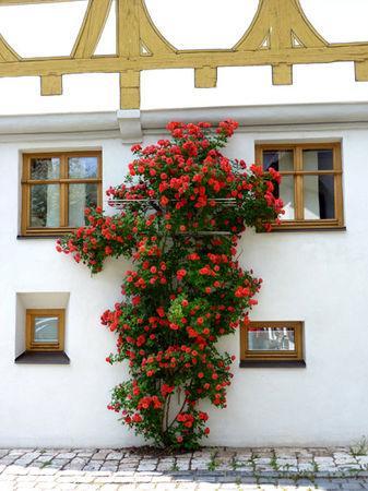 ULM, QUARTIER DE FISCHERVIERTEL