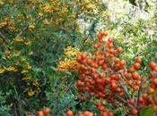 Septembre 2010 couleurs automnales mettent placent...