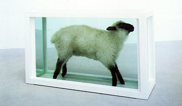 hirst flock