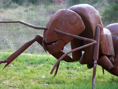 La fourmi | À Voir