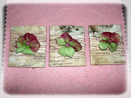 rose_des_bois_017_modifi__1