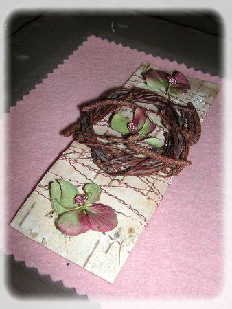 rose_des_bois_026_modifi__1