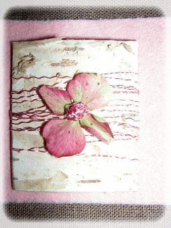 rose_des_bois_035_modifi__1