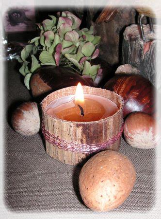 rose_des_bois_067_modifi__1