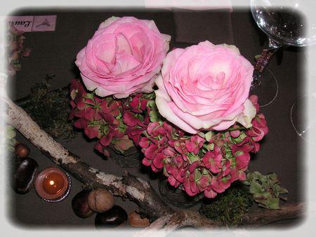 rose_des_bois_064_modifi__1