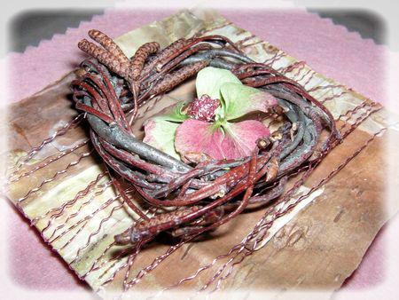 rose_des_bois_059_modifi__1