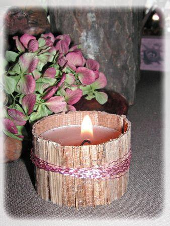 rose_des_bois_003_modifi__1