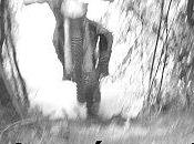 liste rassemblements pour manifestation octobre 2010