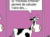 Formule vachement étonnante