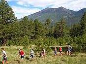 Excellents professeurs