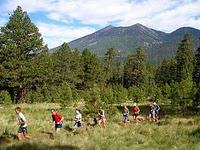 Excellents professeurs