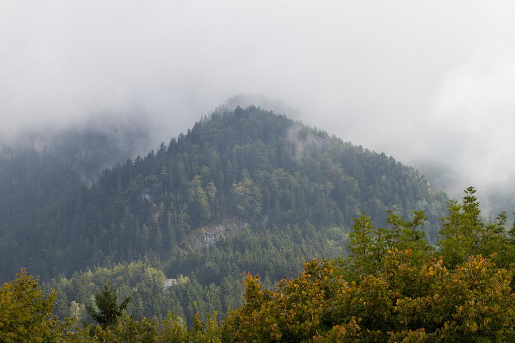 Saint-Nizier du Moucherotte