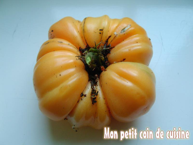 Tomate carrée