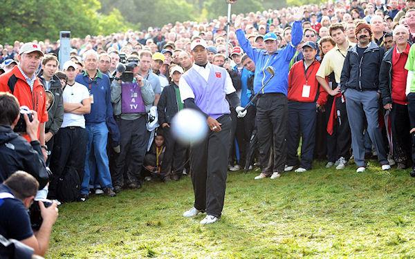 photo humour insolite tiger woods photographe balle golf
