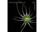 Lunes Beautiful Darkness