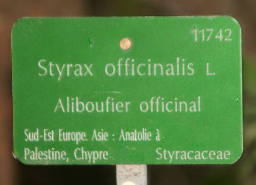 styrax étiq paris 26 sept 2010 107.jpg