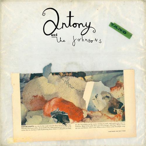 Antony & The Johnsons: Swanlights - Album Streaming
Rough...
