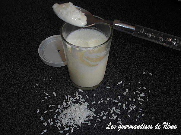 yaourts-coco--2-.JPG