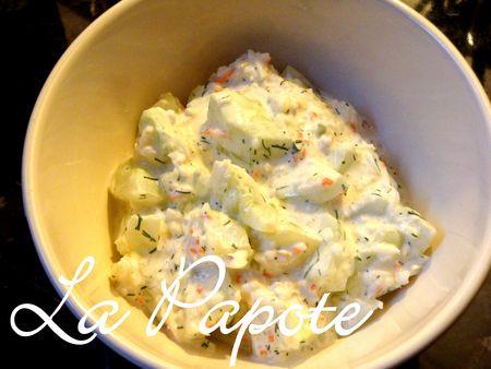 Salade_de_ma_rustine_ador_e