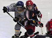 Hockey-sur-glace résultats complets week-end