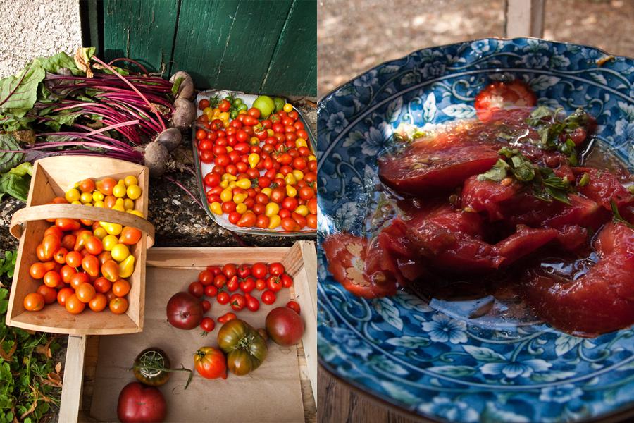 La tomate en salade