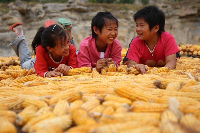 À Yongcheng, ville de la province du Henan, en Chine, ces trois enfants se sont allongés sur des épis de mais, installés sur un site de séchage en plein air, le 1er octobre.